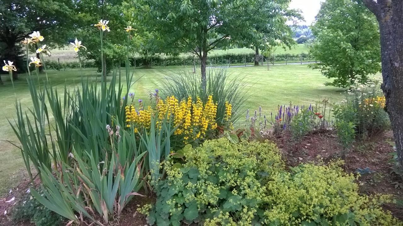 Maison Maton La Roche-lʼAbeille Екстериор снимка
